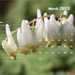 March 2013 Calendar Template